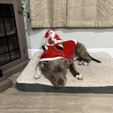 Entry image for Zeus