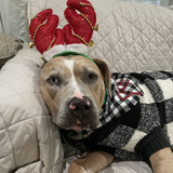 Entry image for Earl