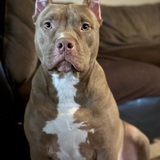 Entry image for Bane 