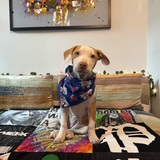 Entry image for Tiffany 