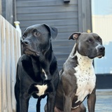 Entry image for Fletcher & Chloe