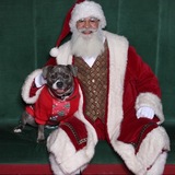 Entry image for Egypt