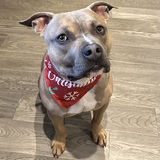 Entry image for Olsen