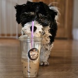 Entry image for Sully