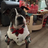 Entry image for Toby