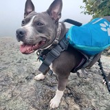 Entry image for Lilah