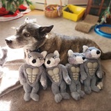 Entry image for Luke 