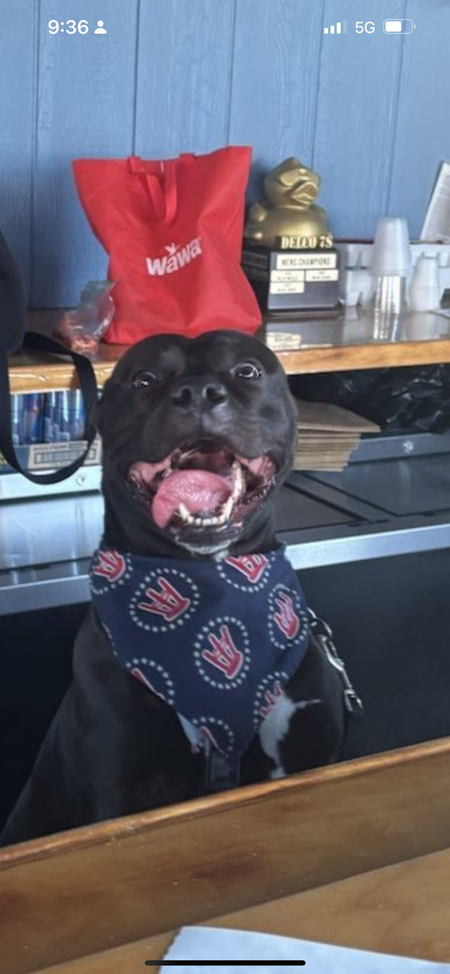 Entry image for Willy . Clicking this image will show a larger photo