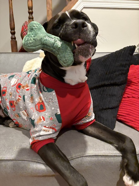 Entry image for Tayto. Clicking this image will show a larger photo