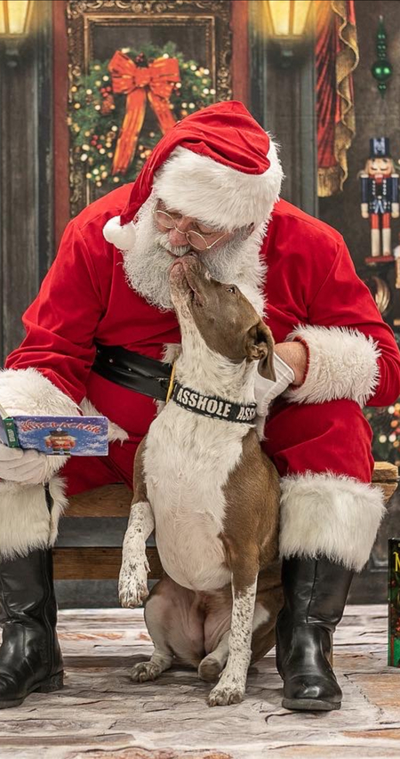 Entry image for Trouble . Clicking this image will show a larger photo