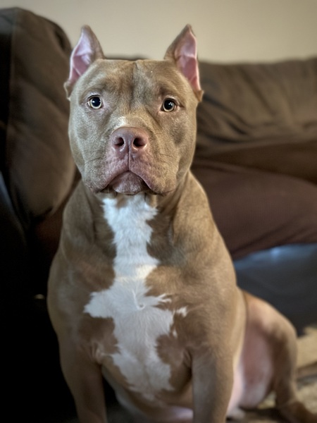 Entry image for Bane . Clicking this image will show a larger photo