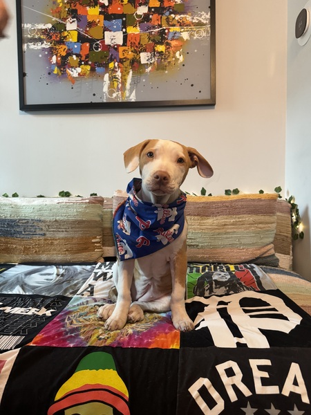 Entry image for Tiffany . Clicking this image will show a larger photo