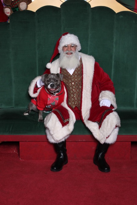 Entry image for Egypt. Clicking this image will show a larger photo