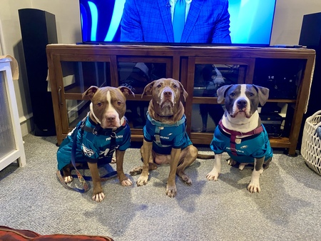 Entry image for Cadence, Copland and Woody. Clicking this image will show a larger photo