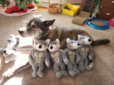 Entry image for Luke . Clicking this image will show a larger photo