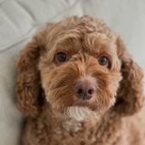 Entry image for Jeter