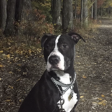 Entry image for Mugsy