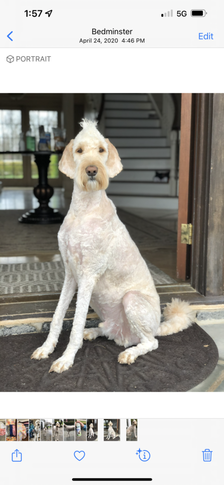 Entry image for Charlie Dadas . Clicking this image will show a larger photo