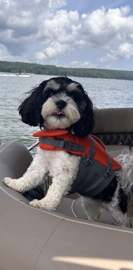 Entry image for Colbie. Clicking this image will show a larger photo