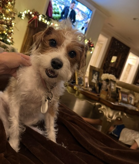 Entry image for Cocoa . Clicking this image will show a larger photo