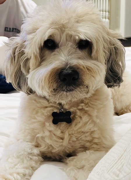 Entry image for Finny. Clicking this image will show a larger photo