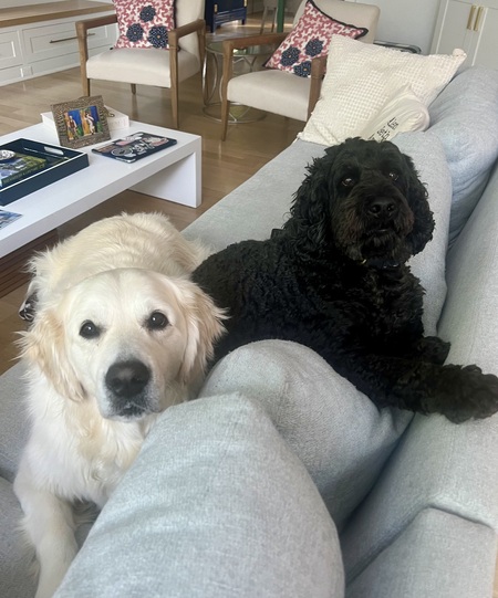 Entry image for Watson and Billy Burton. Clicking this image will show a larger photo