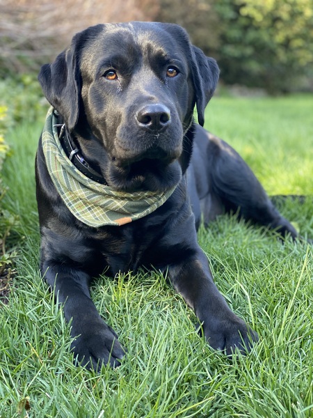 Entry image for Faye. Clicking this image will show a larger photo