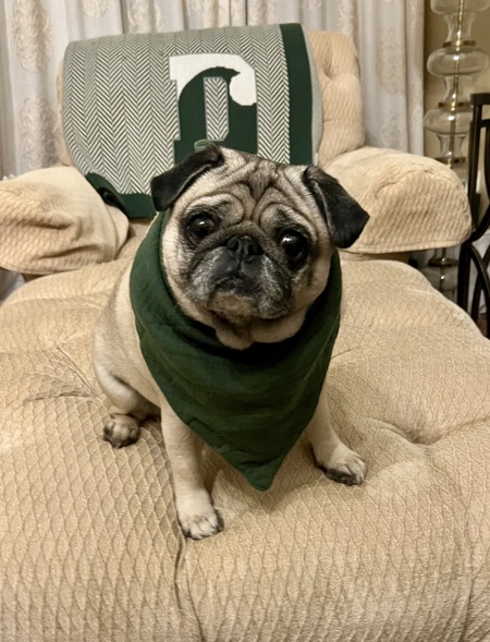 Entry image for Bernadette . Clicking this image will show a larger photo