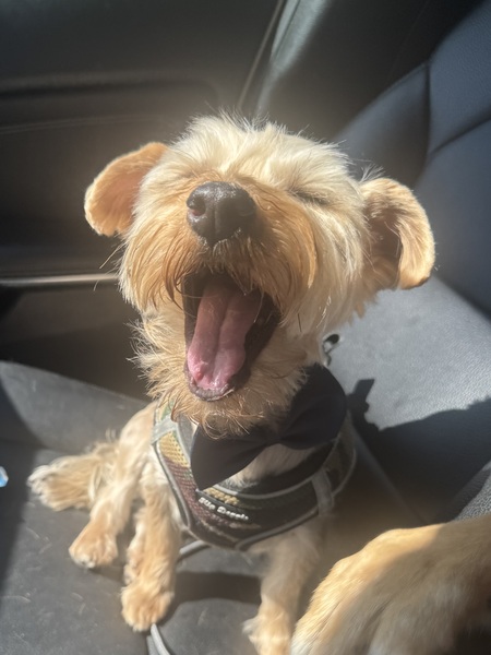 Entry image for Isaac. Clicking this image will show a larger photo