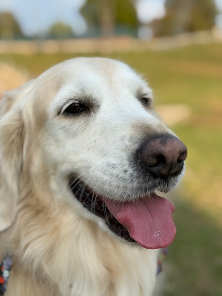 Entry image for Raleigh. Clicking this image will show a larger photo