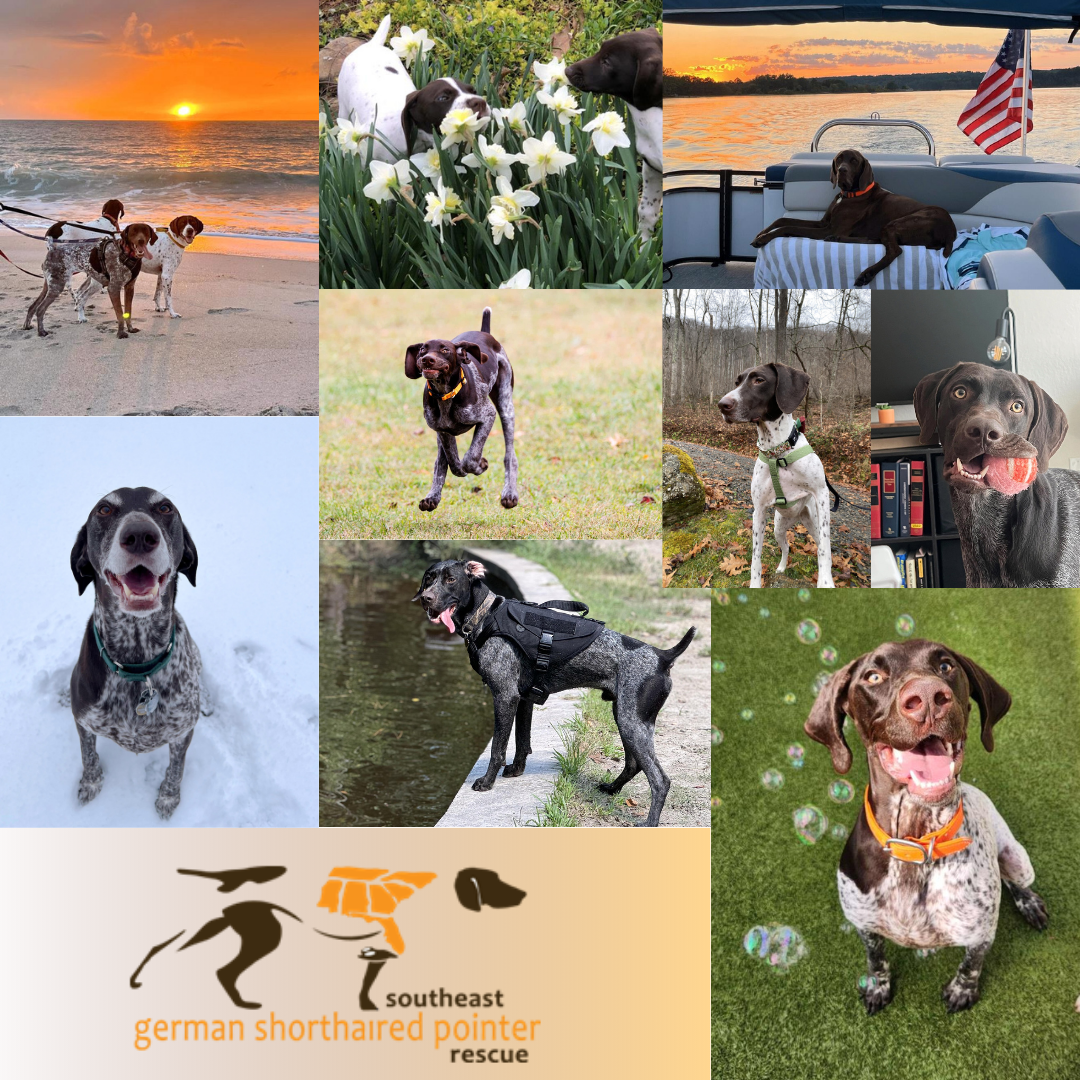 Banner for SE GSP CALENDAR CONTEST