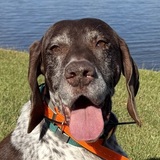 Entry image for Luke