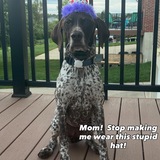 Entry image for Mayz 