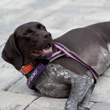 Entry image for Dallas