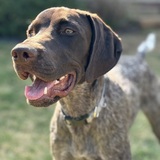 Entry image for River