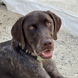 Entry image for River