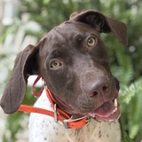 Entry image for Jena