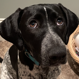 Entry image for Greta