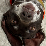 Entry image for Jeter