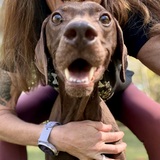 Entry image for Junie