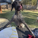 Entry image for Beaux