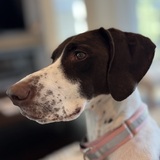 Entry image for Bianka