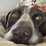 Entry image for Misu