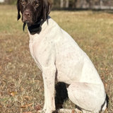 Entry image for Winnie 