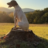 Entry image for Winnie 