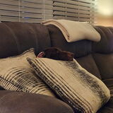 Entry image for Chester - 2023 TN alumni 