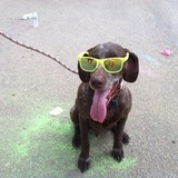 Entry image for Beau