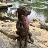 Entry image for Riko