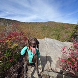 Entry image for Boone