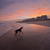 Entry image for Boone